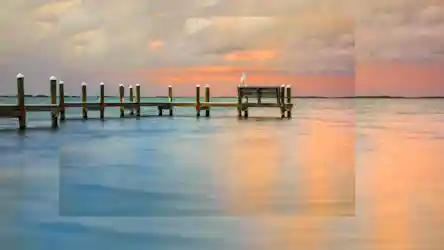 Wooden pier at sunset with white egret perched on bench over water