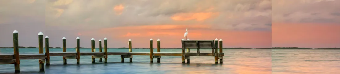 Wooden pier at sunset with white egret perched on bench over water