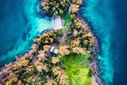 bermuda whites island