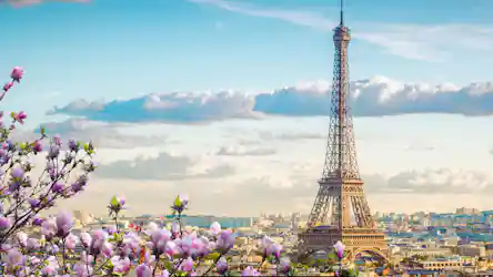 Eiffel Tower over Paris skyline framed by blossoming pink magnolia branches