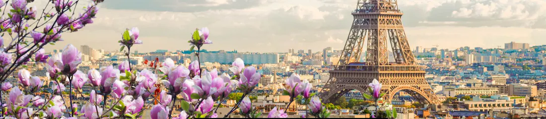 Eiffel Tower over Paris skyline framed by blossoming pink magnolia branches