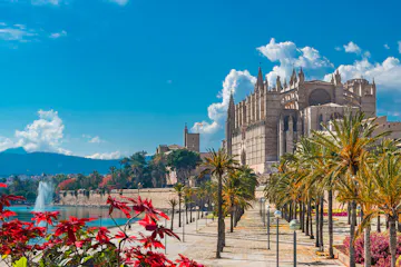 palma de mallorca