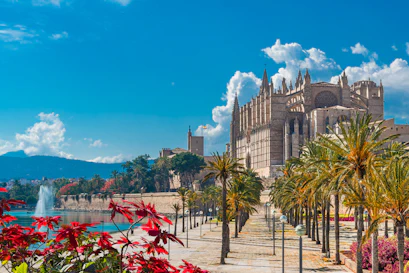 palma de mallorca