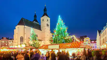 Night Christmas market with lit trees, striped stalls, crowd and church tower