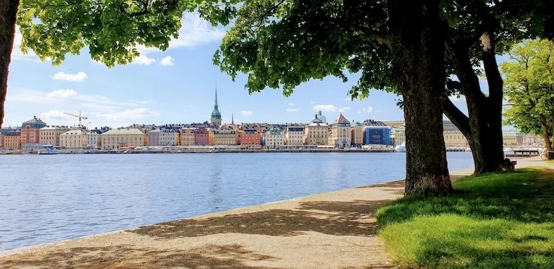Tree-shaded riverside path by calm water facing historic buildings and a tall church spire