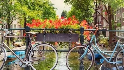 Two bicycles locked to a canal bridge with red flowers in a planter and canal houses