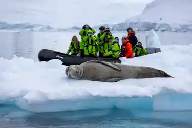 Seal sleeping on an ice floe while tourists in green jackets photograph from a Zodiac boat
