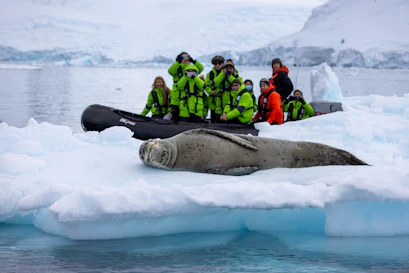 Seal sleeping on an ice floe while tourists in green jackets photograph from a Zodiac boat