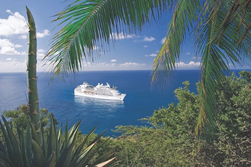 White cruise ship sailing on blue ocean framed by tropical palm fronds and coastal greenery