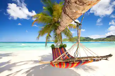 Striped hammock tied to a leaning palm over white sand beach and turquoise sea for relaxing