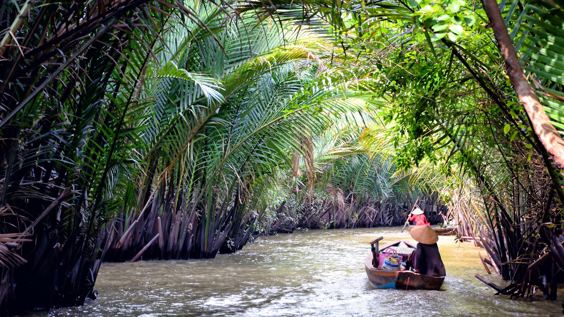 Small wooden boats with conical-hat rowers paddling a narrow river tunnel of dense palm trees