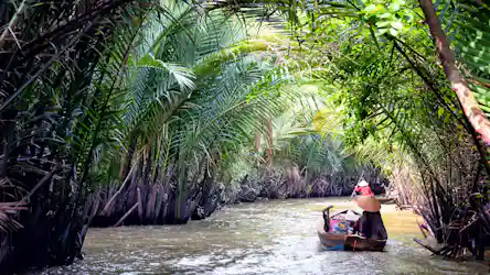 Small wooden boats with conical-hat rowers paddling a narrow river tunnel of dense palm trees