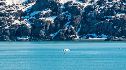 Turquoise glacial inlet with a small iceberg floating and snow-dusted rocky cliffs