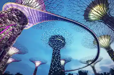 Illuminated Supertree vertical gardens with curved skywalk and star-like lights
