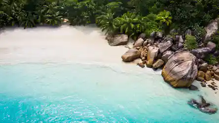 Aerial view of a secluded palm-fringed white sand cove with turquoise water and granite boulders