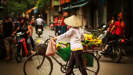 Vendor with conical hat pushes bicycle laden with oranges amid busy motorbikes on market street