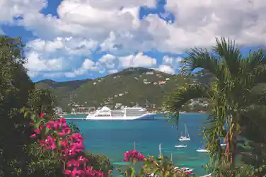 White cruise ship anchored in turquoise bay with sailboats, hillside homes, palm and pink flowers