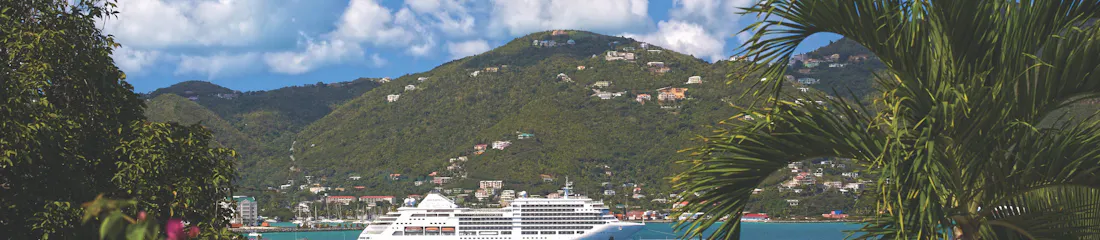 White cruise ship anchored in turquoise bay with sailboats, hillside homes, palm and pink flowers
