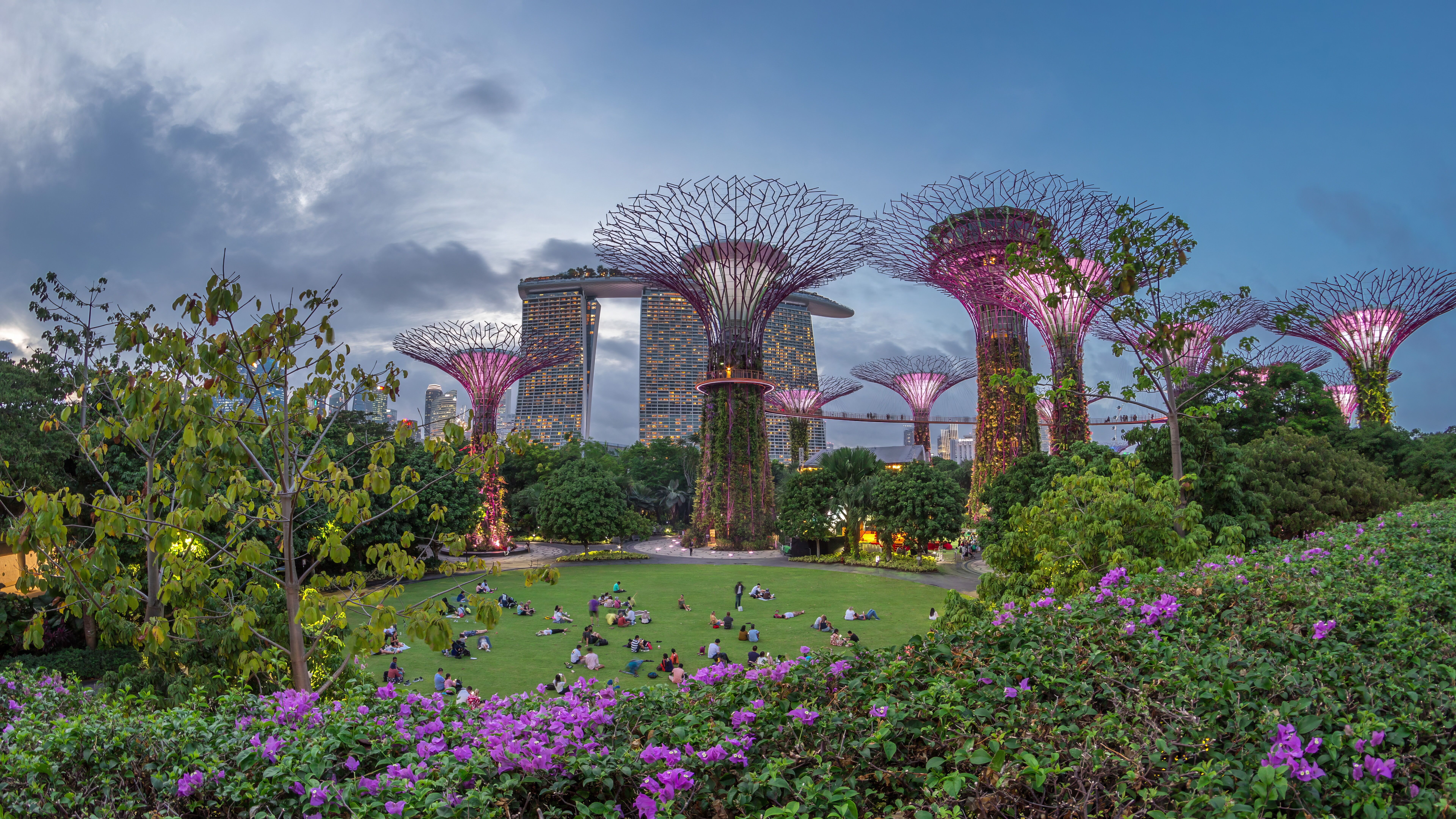 Supertree Grove lit purple at dusk with Marina Bay Sands behind and picnickers on lawn