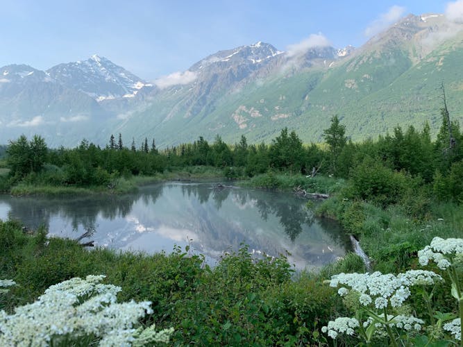 Field in Alaska