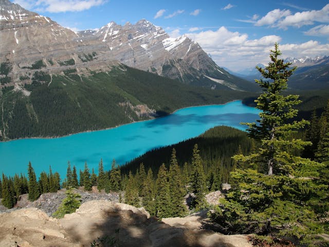 Bright blue lake surrounded by pine forest and mountains