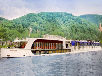 Cruise ship