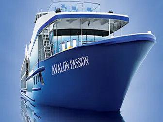 Cruise ship